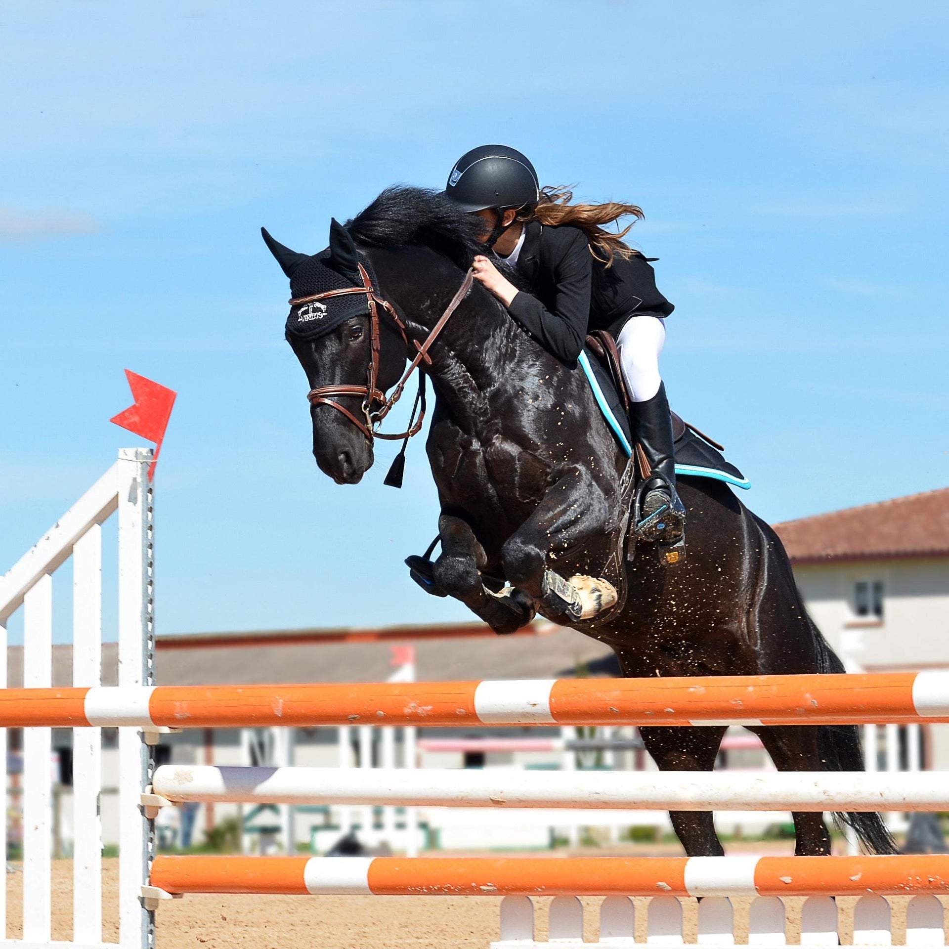 image d'equitation