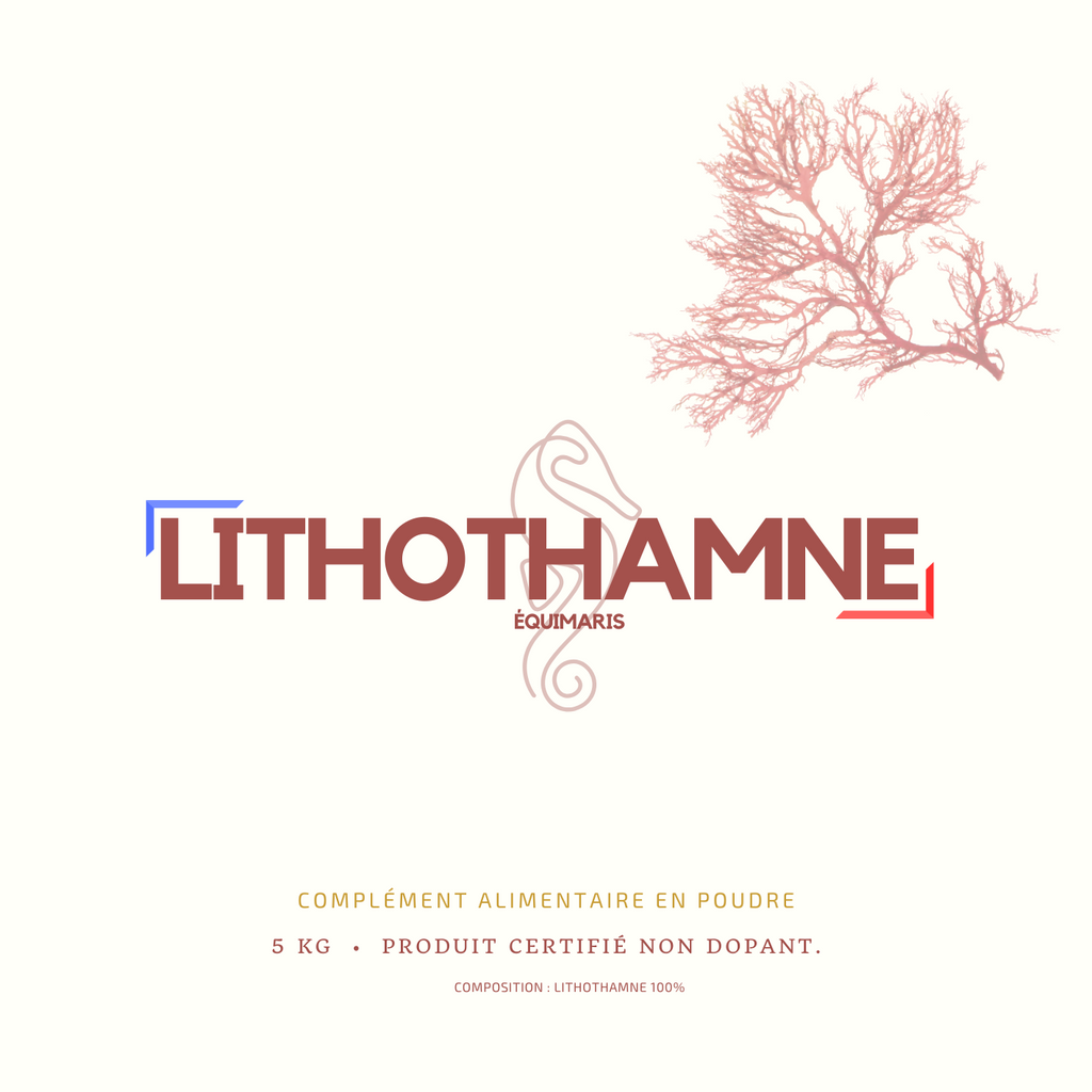LITHOTHAMNE
