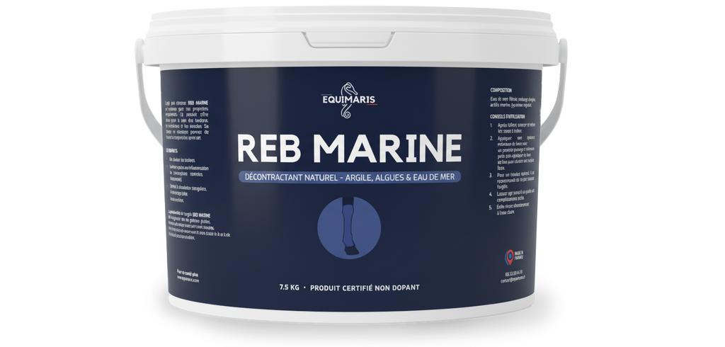 REB Marine