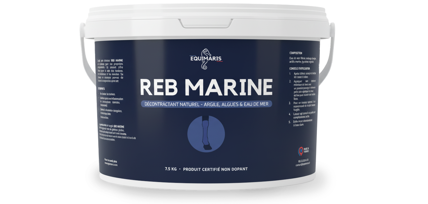 REB Marine