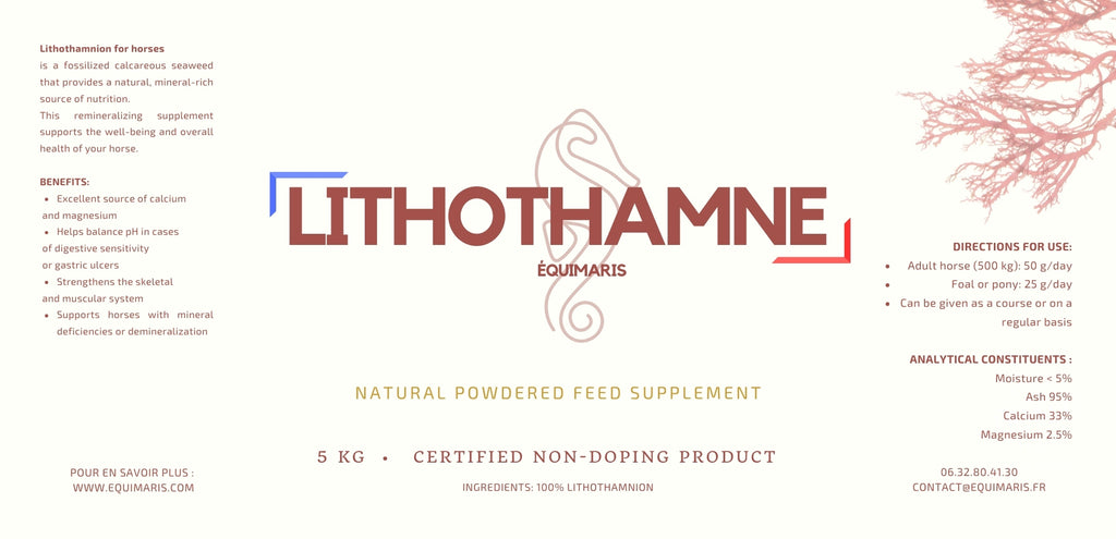 LITHOTHAMNE